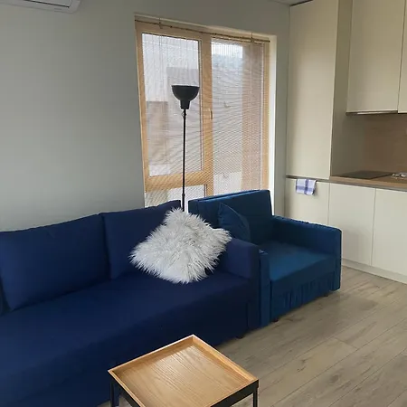 E&K Apartamentai Su Sildomu Baseinu Kieme Паланга Экстерьер фото